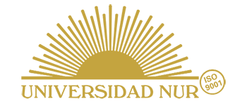 logo nur